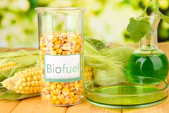 Tregyddulan biofuel availability