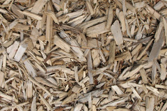 biomass boilers Tregyddulan