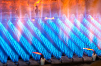 Tregyddulan gas fired boilers